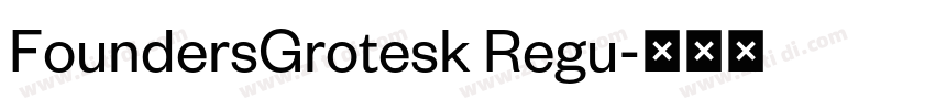 FoundersGrotesk Regu字体转换